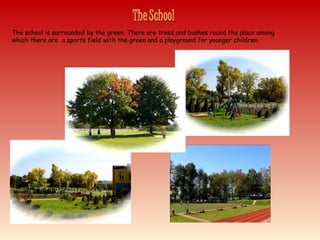 The school is surrounded by the green. There are trees and bushes round the place among
which there are a sports field with the green and a playground for younger children.
 
