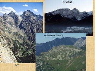 RYSY GIEWONT KASPROWY WIERCH 
