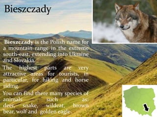 Bieszczady is the Polish name for
a mountain range in the extreme
south-east, extending into Ukraine
and Slovakia.
The highest parts are very
attractive areas for tourists, in
particular, for hiking and horse
riding.
You can find there many species of
animals such as:
deer, snake, wildcat, brown
bear, wolf and golden eagle.
 