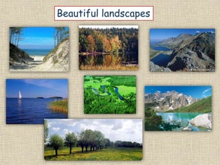Beautiful landscapes
 
