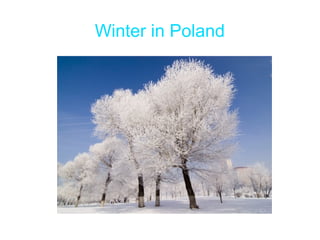 Winter in Poland
 