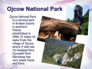 Ojcow National Park
Ojcow National Park
  is a national park
  in Krakow County
  in southern
  Poland,
  established in
  1956. It takes its
  name from the
  village of Ojcow,
  where it also has
  its headquarters.
  Ojcowski Park
  Narodowy has
  very ample fauna
  and flora.
 