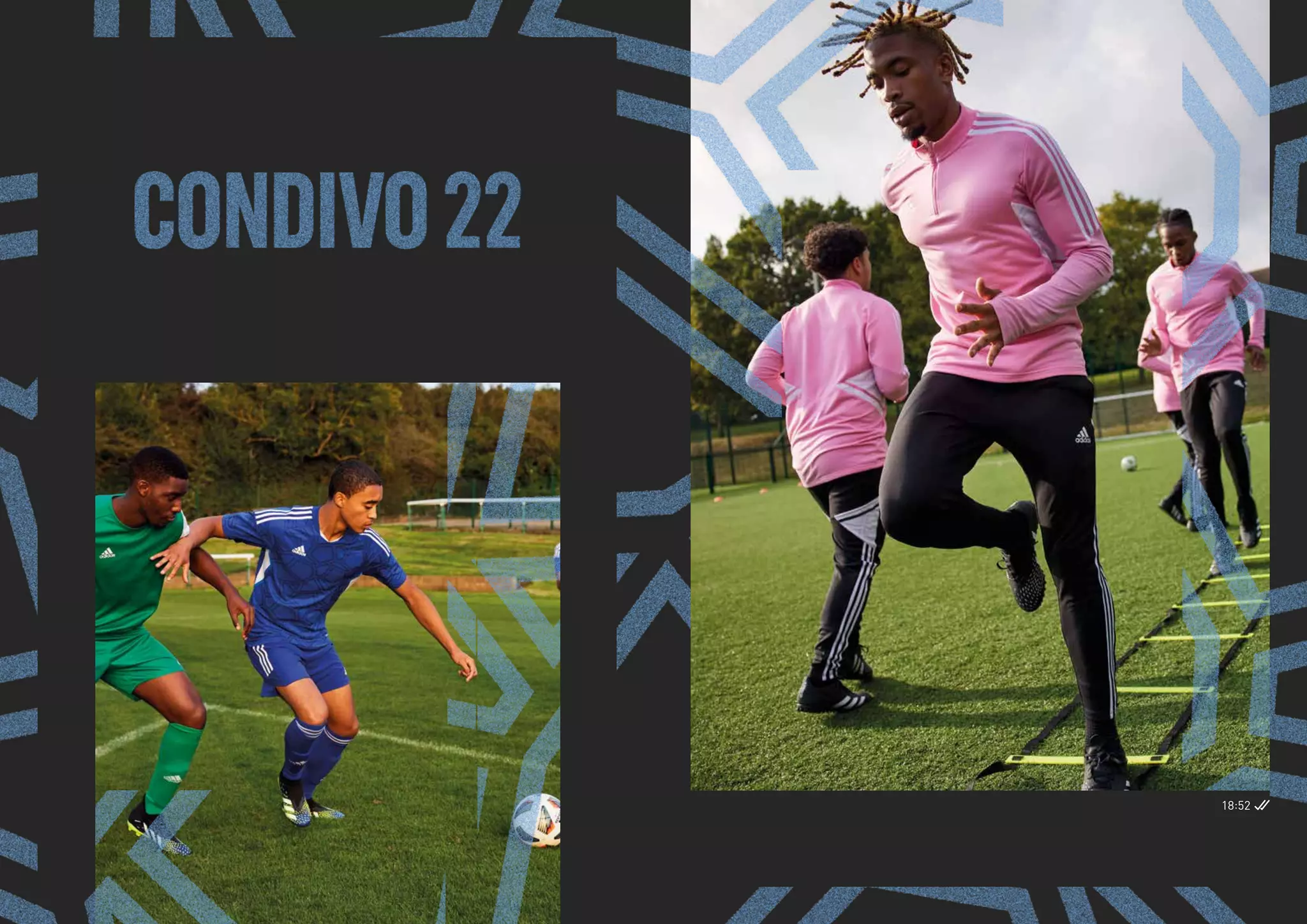 catalogue adidas 2022 pdf