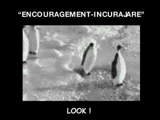 “ ENCOURAGEMENT-INCURAJARE” LOOK !  