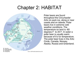 Chapter 2: HABITAT Polar bears are found throughout the Circumpolar Artic on pack ice, along or near coasts and on islands. Polar bears live in extreme cold weather conditions. The temperature on land is -60 degrees F  to 25 F. In water a polar bear is usually warm because of it’s fur temperature. The polar bear lives in the Artic Circle, Canada, Norway, Alaska, Russia and Greenland. 