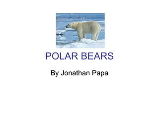 POLAR BEARS By Jonathan Papa 