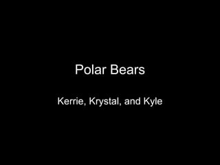 Polar Bears Kerrie, Krystal, and Kyle 