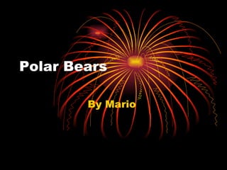 Polar Bears  By Mario  