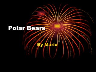Polar Bears  By Mario  