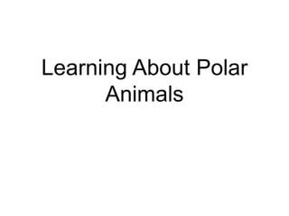Learning About Polar Animals 