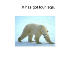 It has got four legs. 