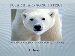 Polar bears going extinct The polar bear population is decreasing drastically. By: Cameron  