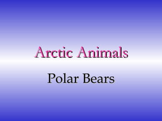 Arctic Animals Polar Bears 