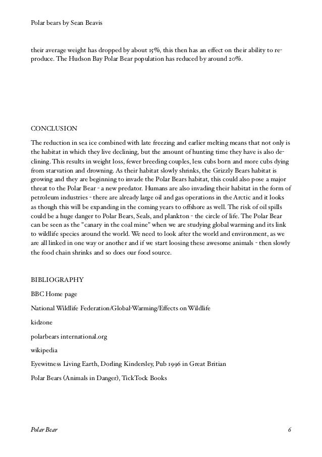 contoh report text polar bear contoh report text polar bear