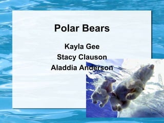 Polar Bears Kayla Gee Stacy Clauson Aladdia Anderson 