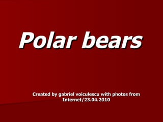 Polar bears Created by gabriel voiculescu with photos from Internet/23.04.2010 