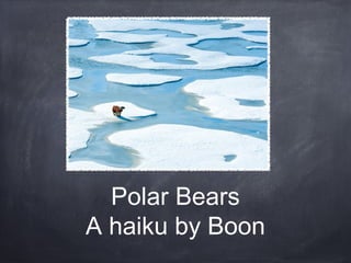 Polar Bears
A haiku by Boon
 