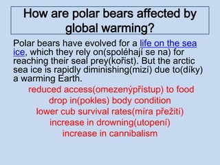 How are polar bears affected by
global warming?
Polar bears have evolved for a life on the sea
ice, which they rely on(spoléhají se na) for
reaching their seal prey(kořist). But the arctic
sea ice is rapidly diminishing(mizí) due to(díky)
a warming Earth.
reduced access(omezenýpřístup) to food
drop in(pokles) body condition
lower cub survival rates(míra přežití)
increase in drowning(utopení)
increase in cannibalism
 