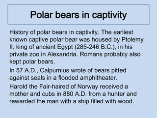 Polar bears in captivity
History of polar bears in captivity. The earliest
known captive polar bear was housed by Ptolemy
II, king of ancient Egypt (285-246 B.C.), in his
private zoo in Alexandria. Romans probably also
kept polar bears.
In 57 A.D., Calpurnius wrote of bears pitted
against seals in a flooded amphitheater.
Harold the Fair-haired of Norway received a
mother and cubs in 880 A.D. from a hunter and
rewarded the man with a ship filled with wood.
 