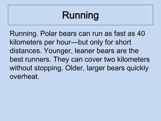 Running
Running. Polar bears can run as fast as 40
kilometers per hour—but only for short
distances. Younger, leaner bears are the
best runners. They can cover two kilometers
without stopping. Older, larger bears quickly
overheat.
 