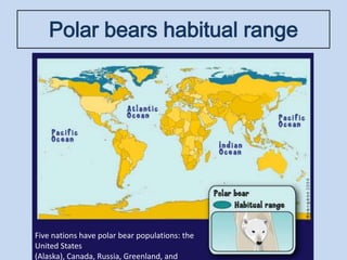 Polar bears habitual range
Five nations have polar bear populations: the
United States
(Alaska), Canada, Russia, Greenland, and
 