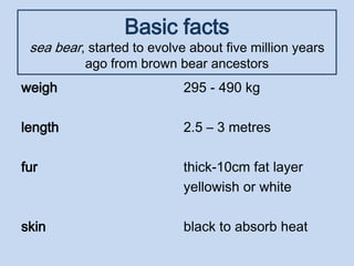 Basic facts
sea bear, started to evolve about five million years
ago from brown bear ancestors
weigh
length
fur
skin
295 - 490 kg
2.5 – 3 metres
thick-10cm fat layer
yellowish or white
black to absorb heat
 