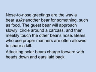 Nose-to-nose greetings are the way a
bear asks another bear for something, such
as food. The guest bear will approach
slowly, circle around a carcass, and then
meekly touch the other bear's nose. Bears
who use proper manners are often allowed
to share a kill.
Attacking polar bears charge forward with
heads down and ears laid back.
 