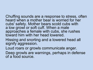 Chuffing sounds are a response to stress, often
heard when a mother bear is worried for her
cubs' safety. Mother bears scold cubs with
a low growl or soft cuff. When a male
approaches a female with cubs, she rushes
toward him with her head lowered.
Hissing and snorting and a lowered head all
signify aggression.
Loud roars or growls communicate anger.
Deep growls are warnings, perhaps in defense
of a food source.
 