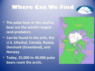 Where Can We Find
• The polar bear or the sea/ice
bear are the world's largest
land predators.
• Can be found in the artic, the
U.S. (Alaska), Canada, Russia,
Denmark (Greenland), and
Norway
• Today, 25,000 to 40,000 polar
bears roam the arctic.
 
