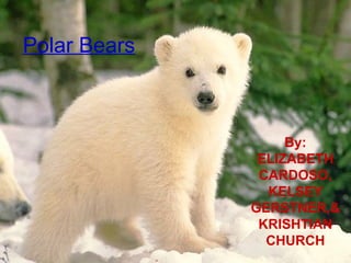 Polar Bears By: ELIZABETH CARDOSO, KELSEY GERSTNER,& KRISHTIAN CHURCH 