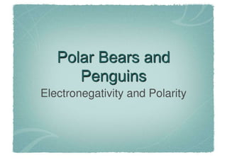 Polar Bears And Penguins