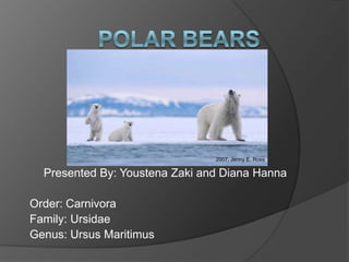 2007, Jenny E. Ross

  Presented By: Youstena Zaki and Diana Hanna

Order: Carnivora
Family: Ursidae
Genus: Ursus Maritimus
 