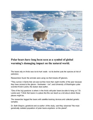 Polar bears have long been seen as a symbol of global
warming's damaging impact on the natural world.
The bears rely on Arctic sea ice to hunt seals - so its decline puts the species at risk of
extinction.
Researchers found the animals were using ice that breaks off glaciers.
"They survive in fjords that are sea ice-free more than eight months of the year because
they have access to the glacier - freshwater - ice", said University of Washington polar
scientist Kristin Laidre, the study's lead author.
"One of the big questions is where in the Arctic will polar bears be able to hang on," Dr.
Laidre said. "I think that bears in a place like this can teach us a lot about where those
places might be.
The researcher tagged the bears with satellite tracking devices and collected genetic
samples.
Dr. Beth Shapiro, geneticist and co-author of the study, said they observed "the most
genetically isolated population of polar bears anywhere on the planet".
 