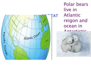 Polar bears
          live in
HABITAT   Atlantic
          reigon and
          ocean in
          Antartictic
          a
 