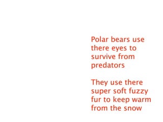 Polar bears use
there eyes to
survive from
predators

They use there
super soft fuzzy
fur to keep warm
from the snow
 