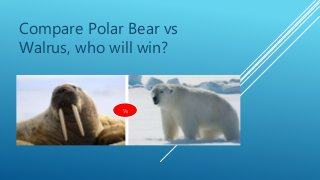 Compare Polar Bear vs
Walrus, who will win?
Vs
 