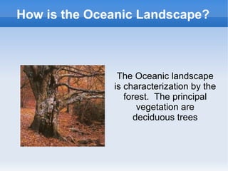 How is the Oceanic Landscape?
The Oceanic landscape
is characterization by the
forest. The principal
vegetation are
deciduous trees
 