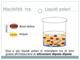 Miscibilità tra                    Liquidi polari
 DIPOLO




              +
                  Alcol etilico
                                    +   -
          +   -   Acqua             + -               + -
                                                       + -
                                               +-
                                  + + -+ + - +
                                                 +-+ +
                                         + -+ - + -
                                  + -+      +
                                             + -
                                      + -      + -+ ++
                                  + -
                                        ++ - + - + -
                                                +       -

 Due o più liquidi polari si miscelano tra di loro
 grazie all’instaurarsi di attrazioni dipolo-dipolo
 
