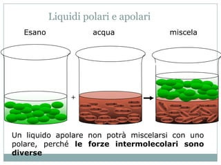 Liquidi polari e apolari
  Esano                     acqua                                miscela




               +
                        +                  + +       +       +
                       +                                 +         + +   +       +
                                +                +
                   +                                     +   + +    +            +
                                                                                     +
                            +       +       +        +         +             +
                                     + +                            +


Un liquido apolare non potrà miscelarsi con uno
polare, perché le forze intermolecolari sono
diverse
 