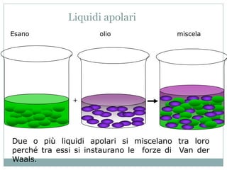 Liquidi apolari
Esano                olio               miscela




               +




Due o più liquidi apolari si miscelano tra loro
perché tra essi si instaurano le forze di Van der
Waals.
 