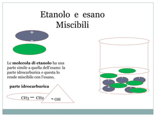 Etanolo e esano
                        Miscibili
              +
              -


Le molecola di etanolo ha una
parte simile a quella dell’esano: la
parte idrocarburica e questa lo
rende miscibile con l’esano,
                                       +   +   +
 parte idrocarburica                   +
                                       -   - + -
                                       -     -
        CH3   – CH2        - OH
 