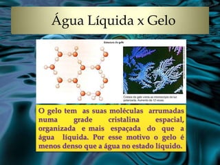 Água Líquida x Gelo

O gelo tem as suas moléculas arrumadas
numa
grade
cristalina
espacial,
organizada e mais espaçada do que a
água líquida. Por esse motivo o gelo é
menos denso que a água no estado líquido.

 