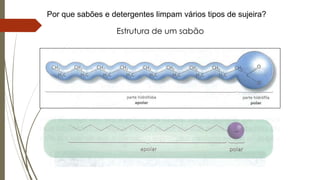 Por que sabões e detergentes limpam vários tipos de sujeira?
Estrutura de um sabão
 