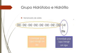 Grupo Hidrófobo e Hidrófilo
 Nonanoato de sódio
 