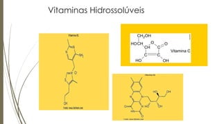 Vitaminas Hidrossolúveis
 ff
 