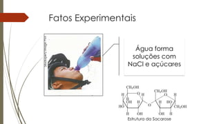 Fatos Experimentais
Água forma
soluções com
NaCl e açúcares
Estrutura da Sacarose
 