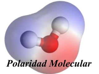 Polaridad Molecular
 
