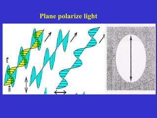 Plane polarize light
 
