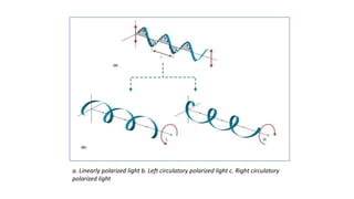 Linearly Polarimetry | PPTX