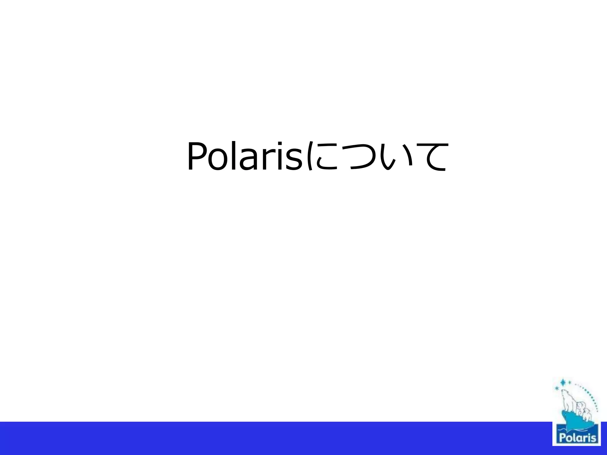 Polarisについて
 